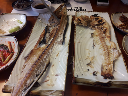 제주향 6