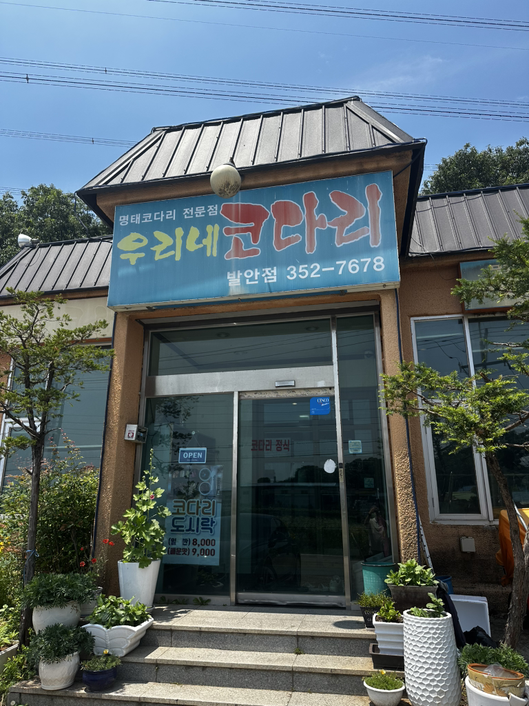 우리네코다리 1