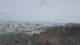 예반 사진 3