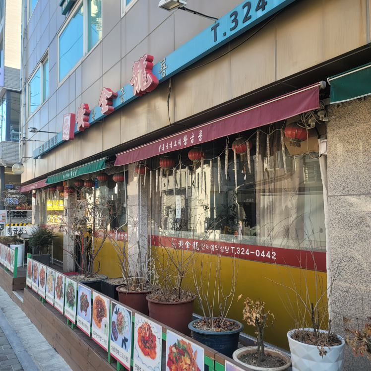 황금룡 2