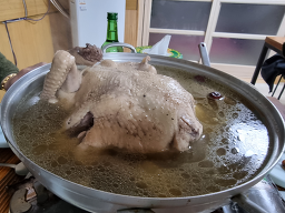 부영옻닭 1