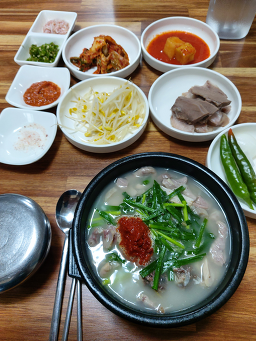 양지식당 4