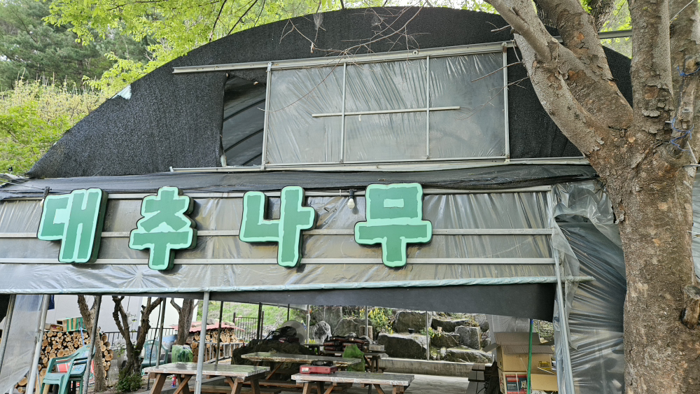 대추나무막국수 1