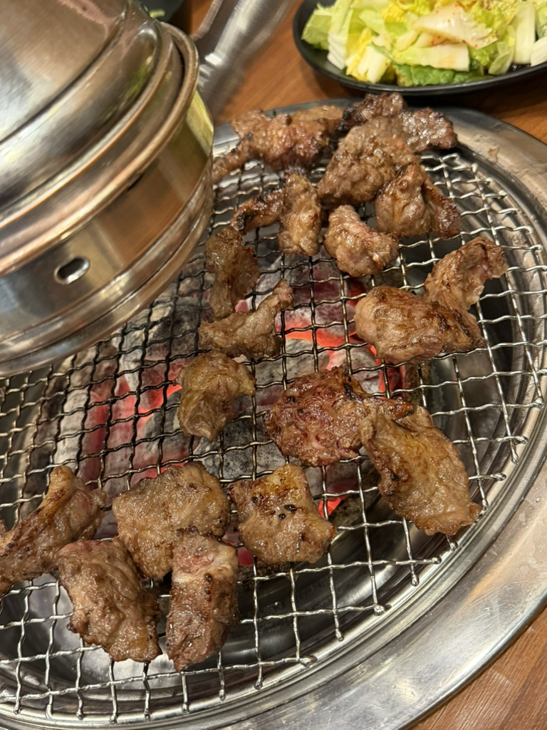불타는갈매기 아라점 사진 2