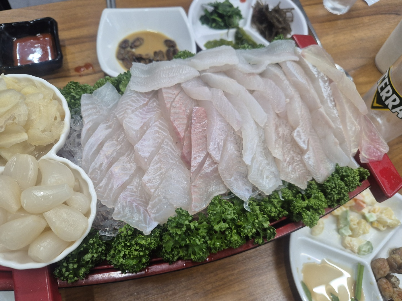 어류도감 사진 4