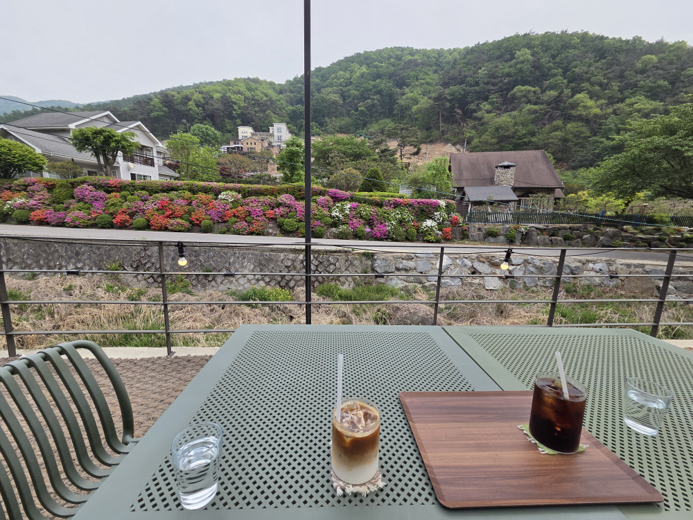 하록수림 3