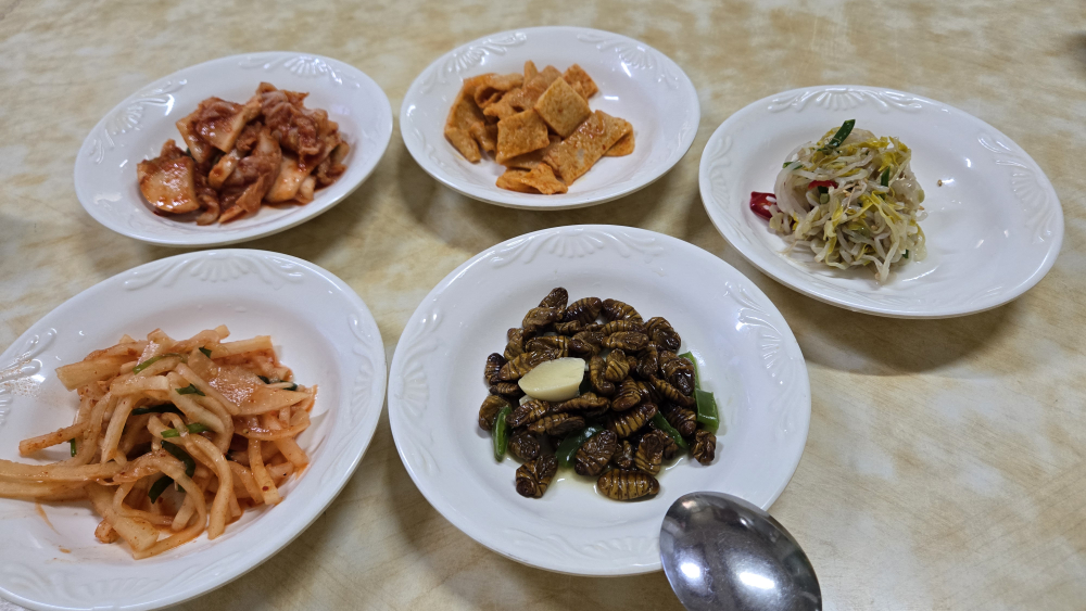 새식당 3