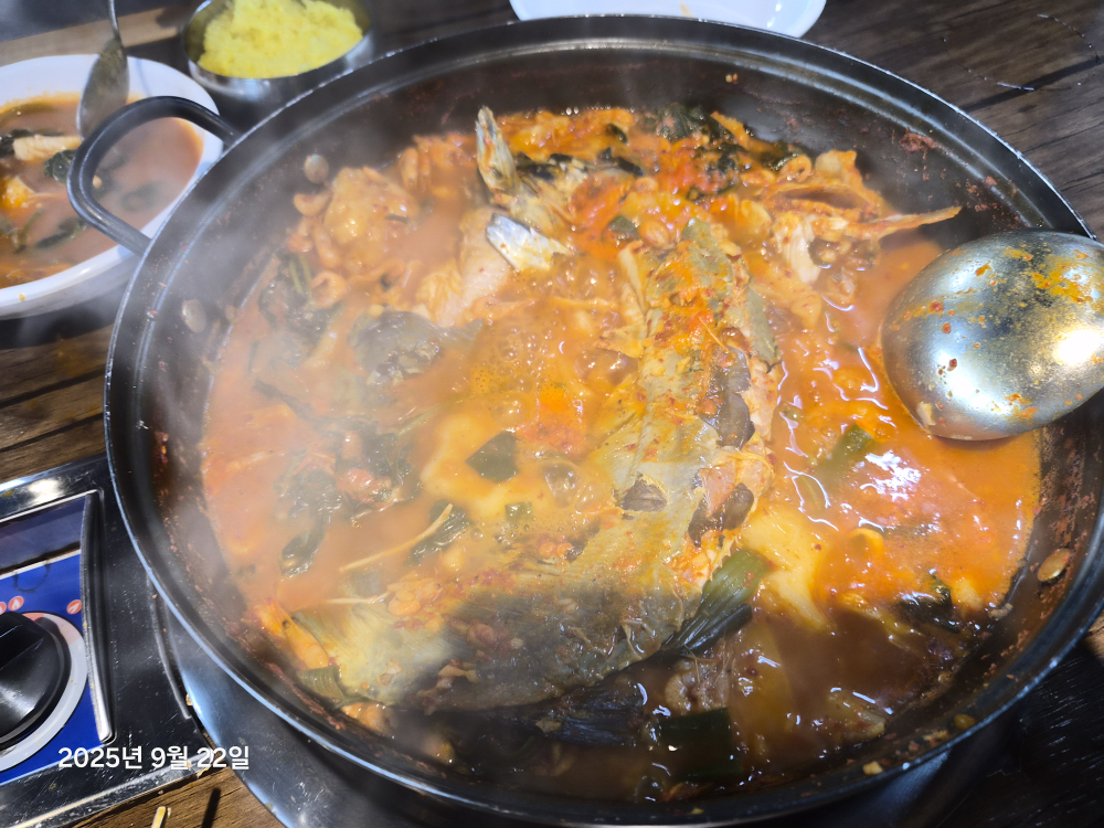 홍빈낙원 6