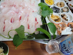 바당회 사진 4