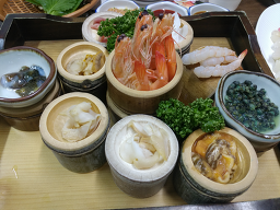 Umichobap 3