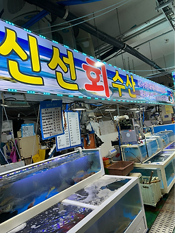 신선회수산 5