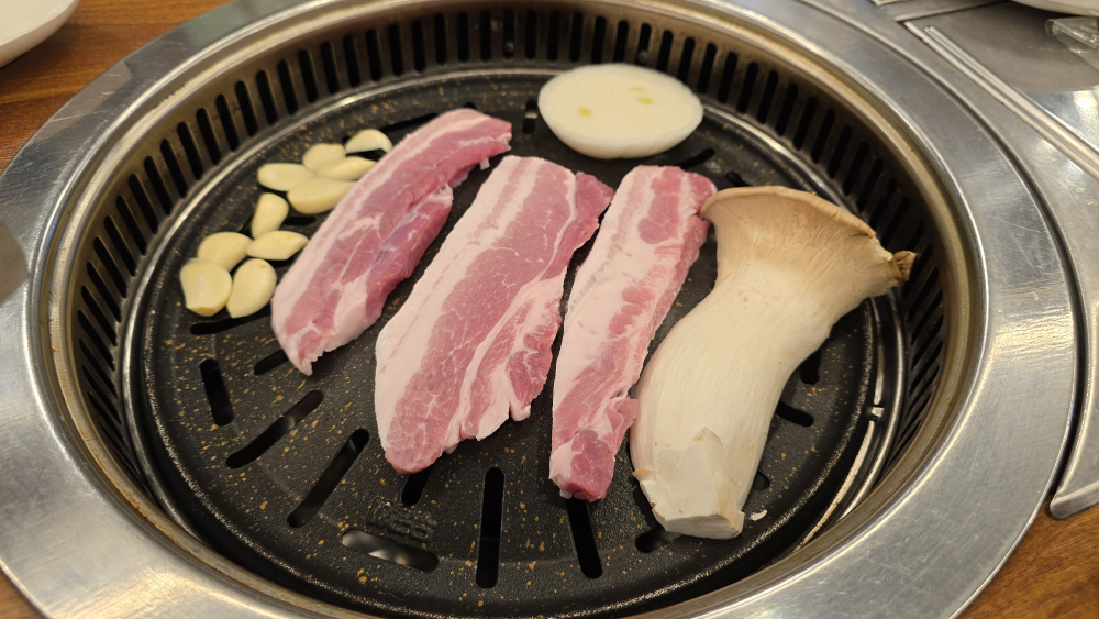 백송 3
