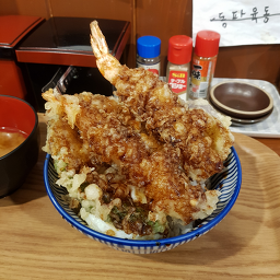 네코정 5