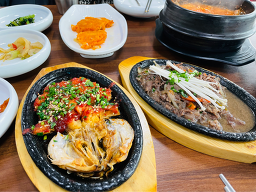 청설 5