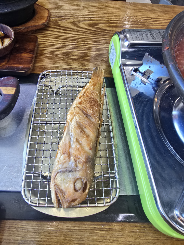 제주운정이네 사진 8