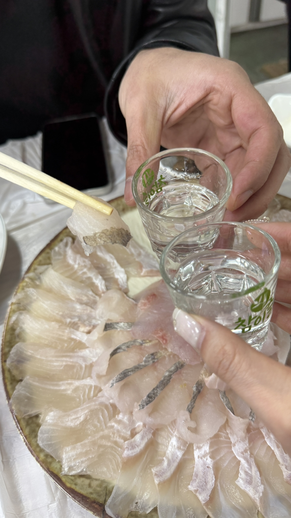 용일호 6