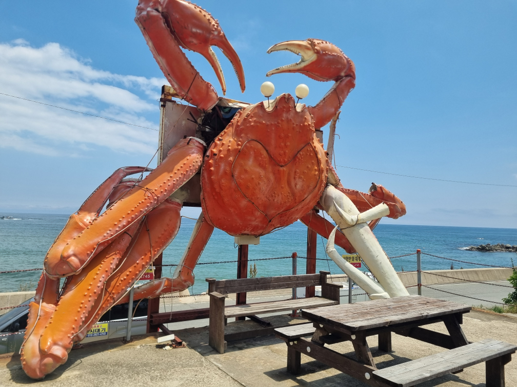 신항만횟집 1