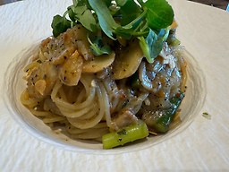 Assisi (아씨시) 1