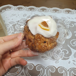 헤이스콘 사진 7