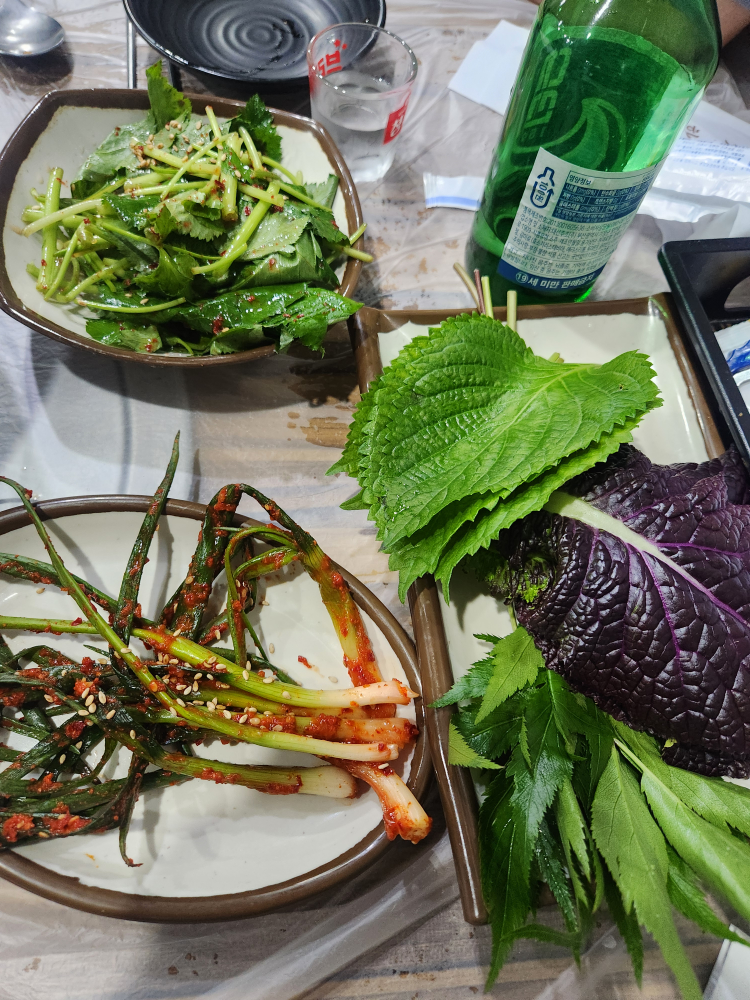 Tongyeongsangomjangeo (통영산곰장어) 3