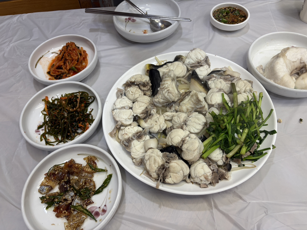 감포일출복어 1