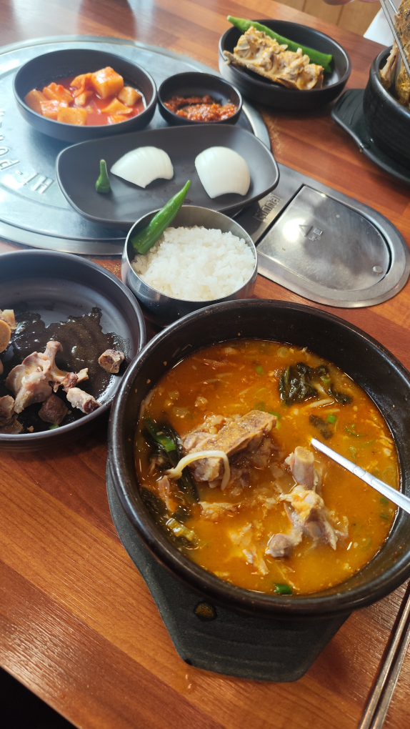 등뼈 2