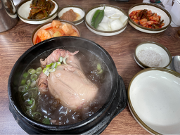 약초마을 4