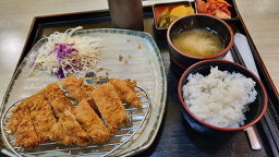 하치 대표 사진