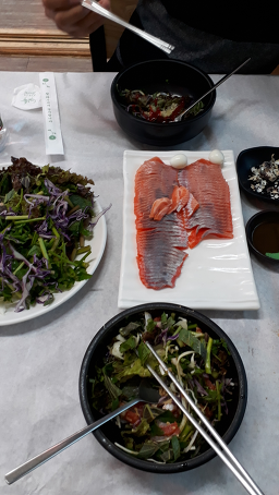 Sancheonsongeo 5