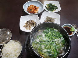 일조 2