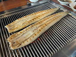 장어명가 2