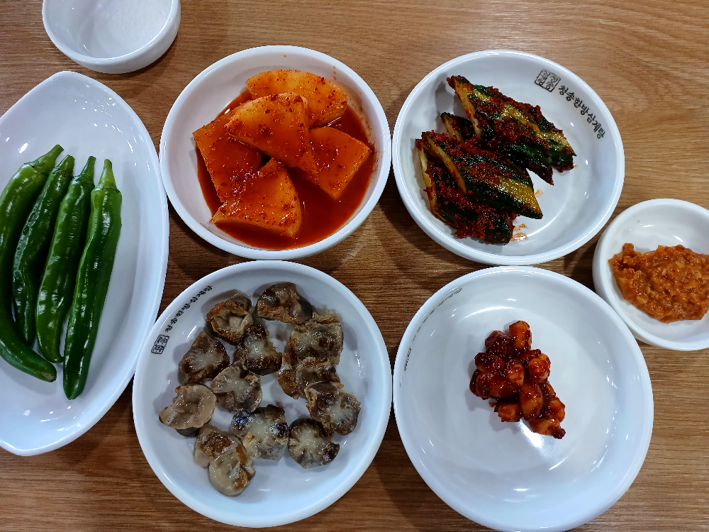 Cheongsonghanbangsamgyetang 6