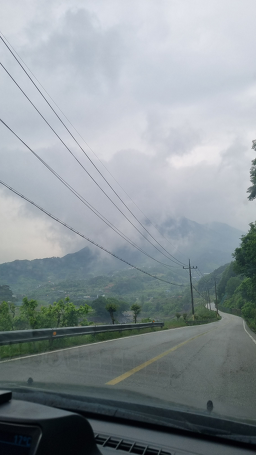 Busansikdang (부산식당) 1