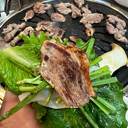 그린하우스 2