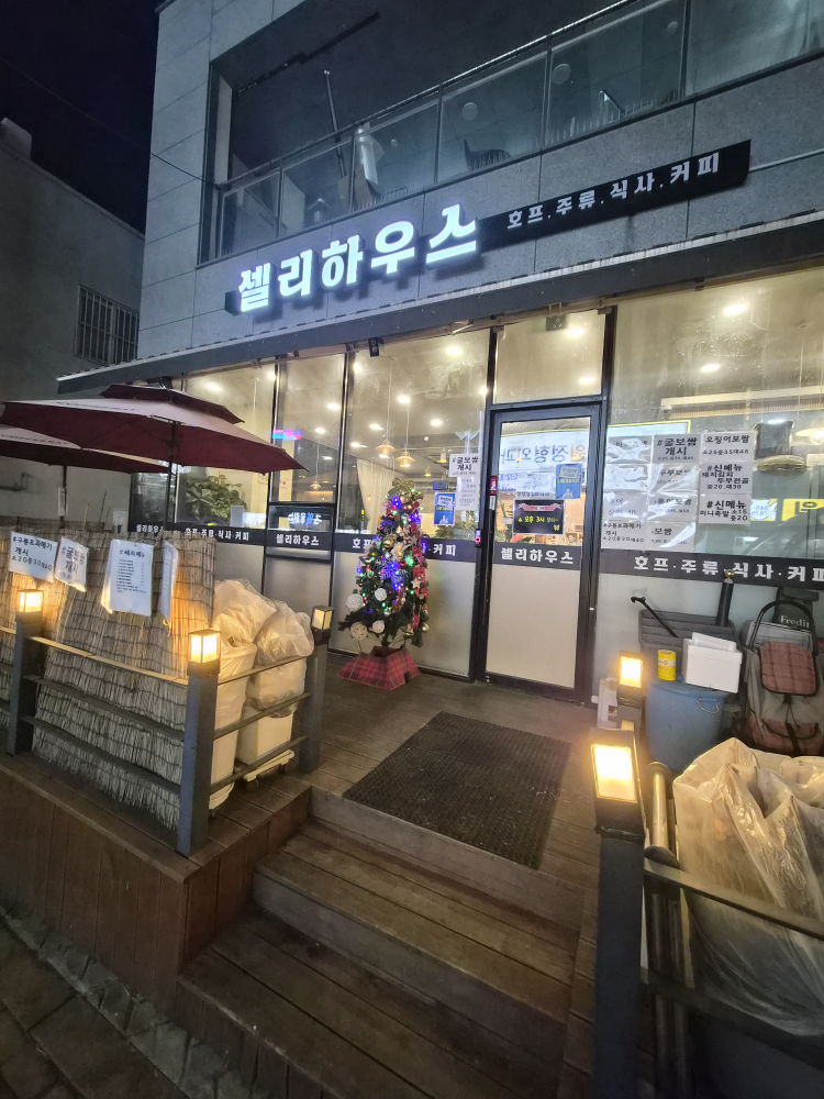 셀리하우스 3