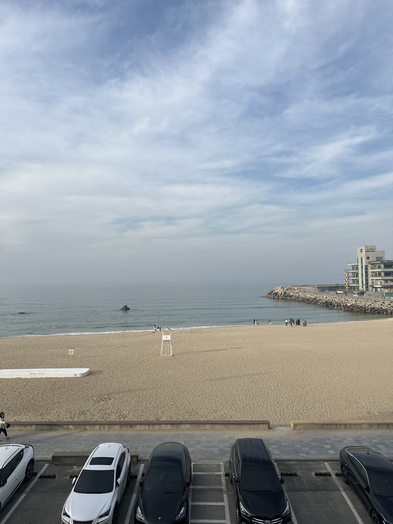 카페알베로