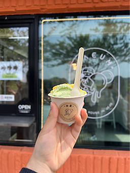 하음 사진 5