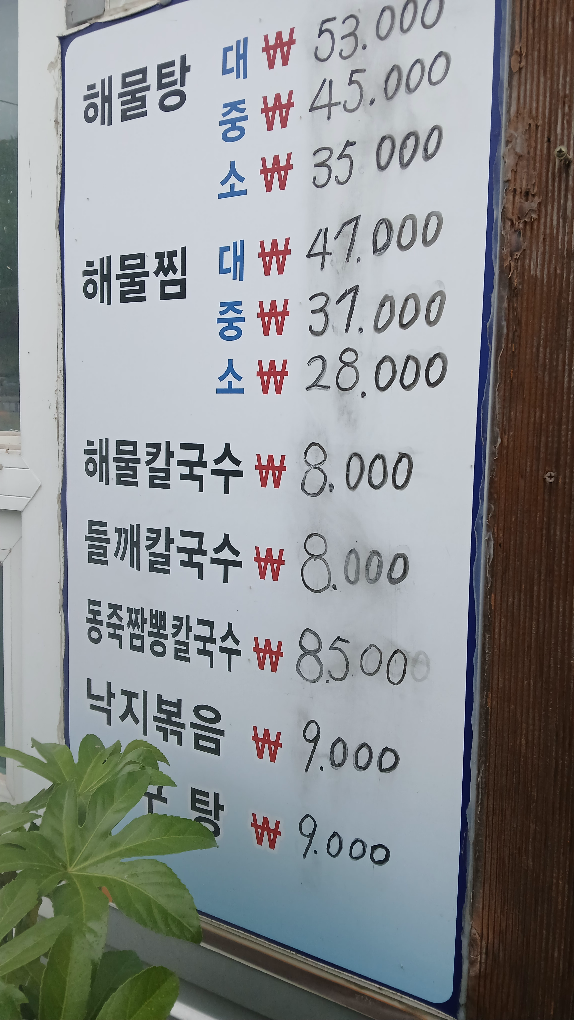Sancheongppongiphaemulkalguksu (산청뽕잎해물칼국수) 2