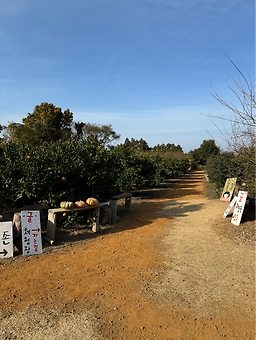보메와산