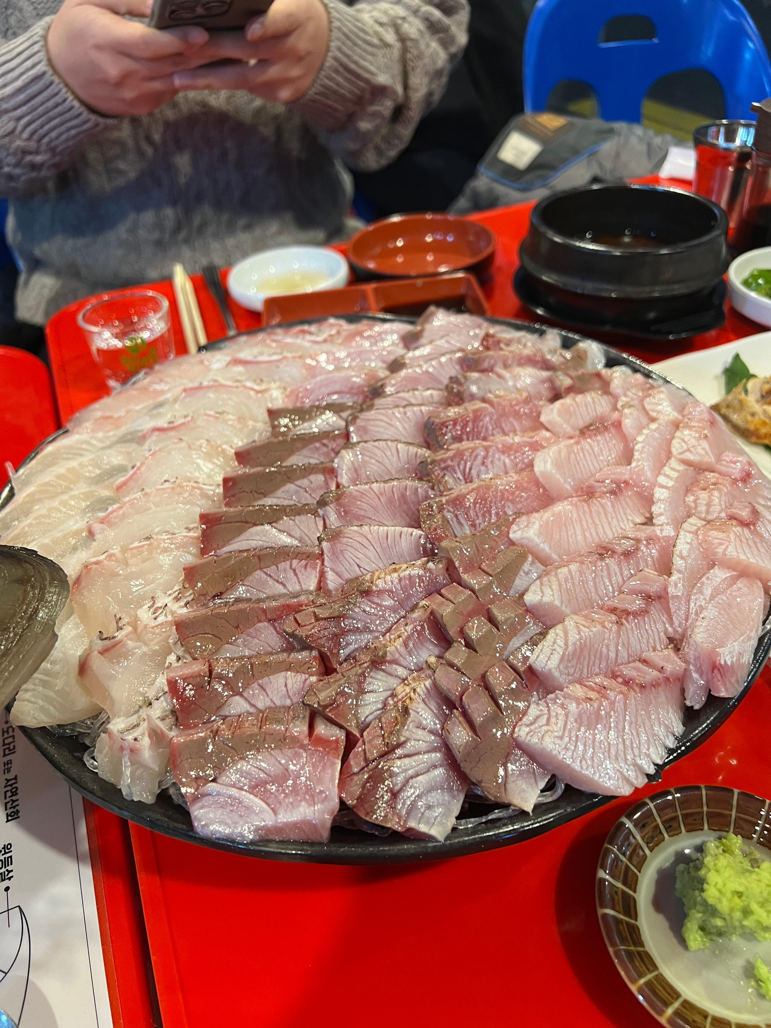보물섬 사진 8