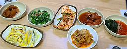 남쪽나라 사진 4