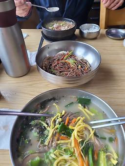 메밀꽃제주 사진 3