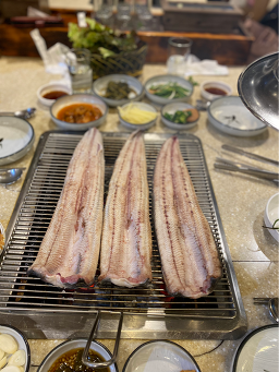 유동민물장어 3