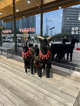 향촌흑염소백석점 3