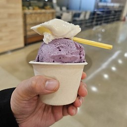 신도림테크노마트 푸드코트 사진 3