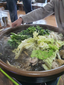 Hojaeotdak (호재옻닭) 2