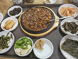 등나무집 6