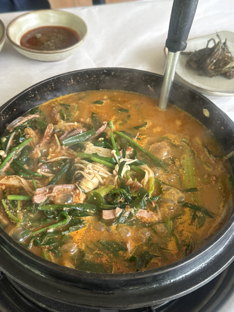 바위집염소 1