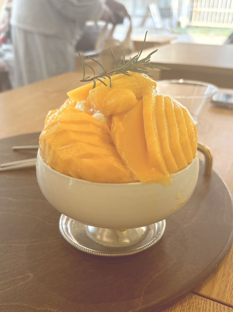 엘빙할루카 4