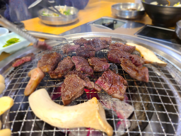 소나무집 5